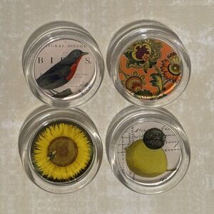 Fringe Studio Set Of 4 Round Glass Coasters Flowers Birds Bees Lemon Felt New